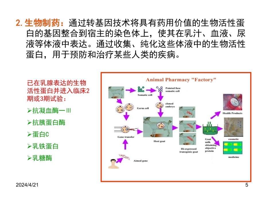 实验动物胚胎工程技术_第5页