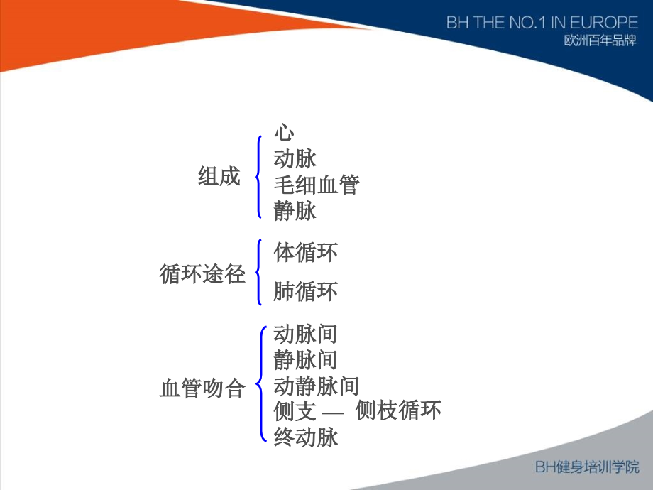 运动生理学新(1)-副本ppt课件_第3页