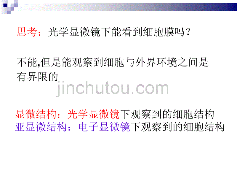 高一生物细胞膜细胞器课件_第2页