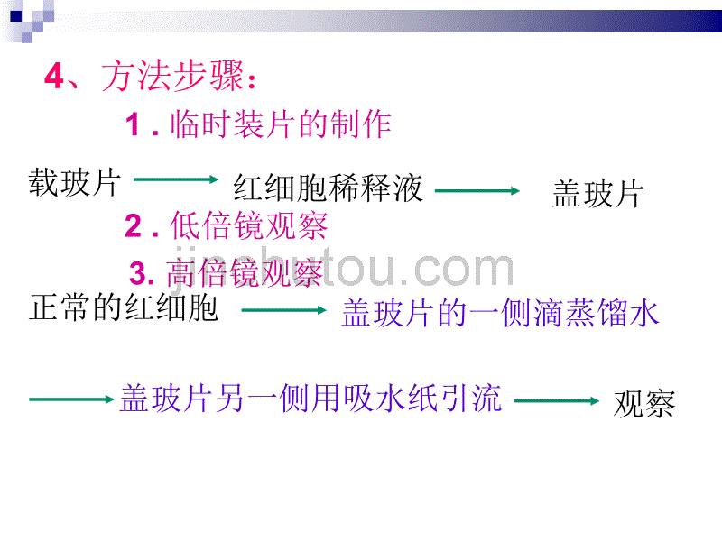 高一生物细胞膜细胞器课件_第4页