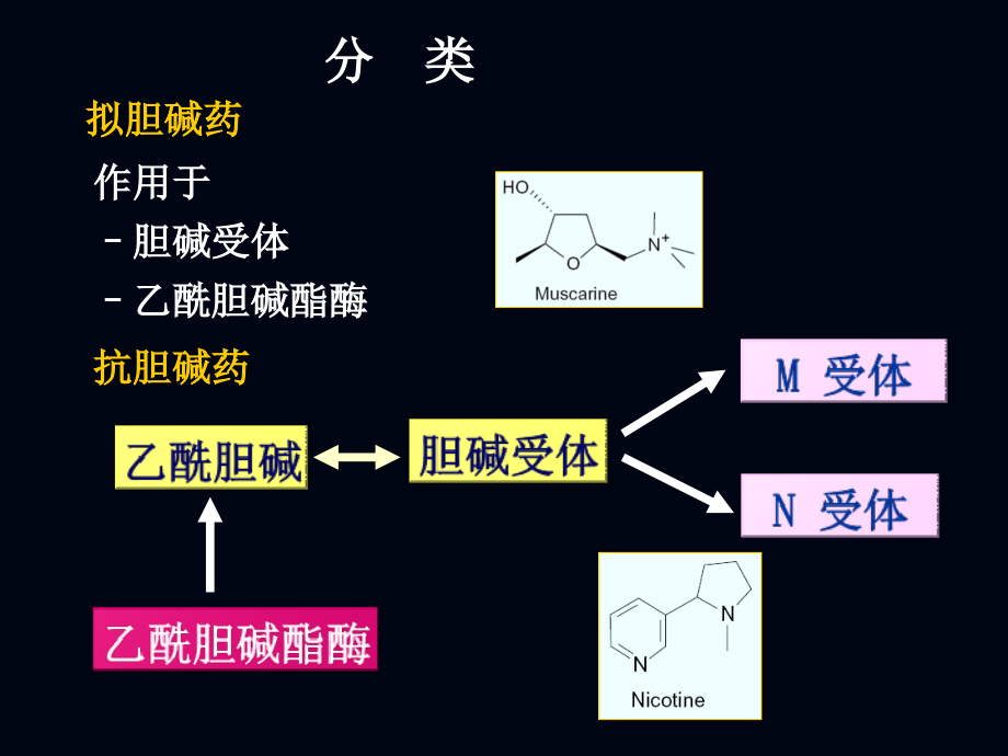 外周神经系统药物2013_第4页