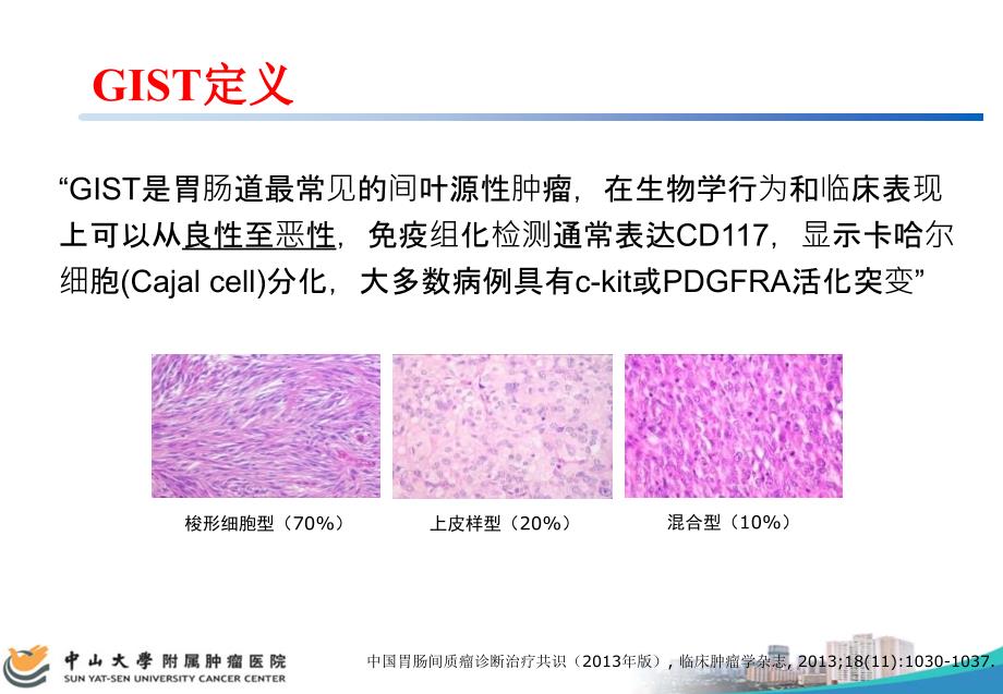 直肠胃肠道间质瘤ppt课件_第2页