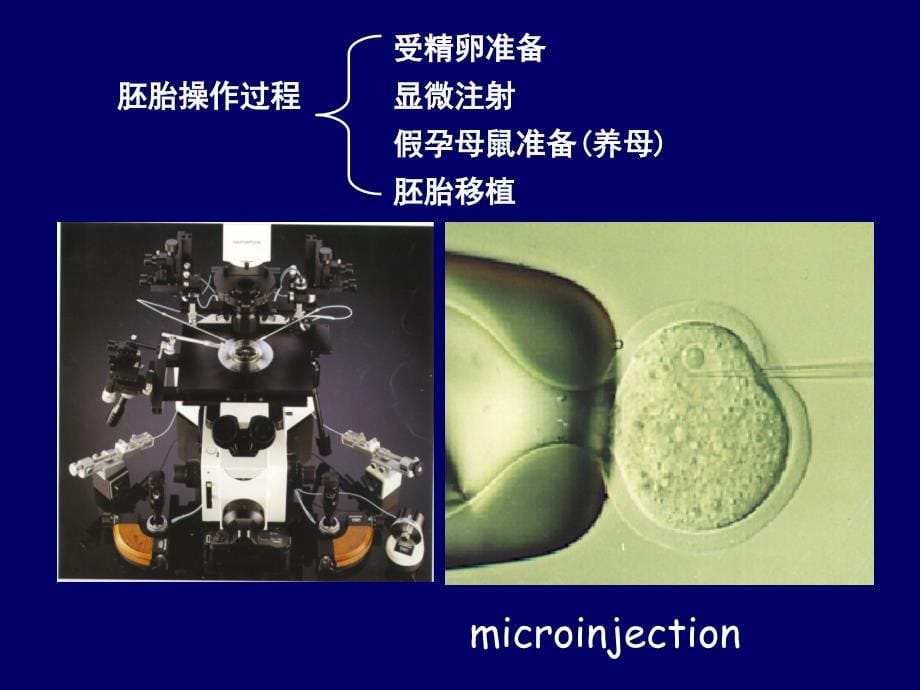 细胞生物反应器制药_第5页