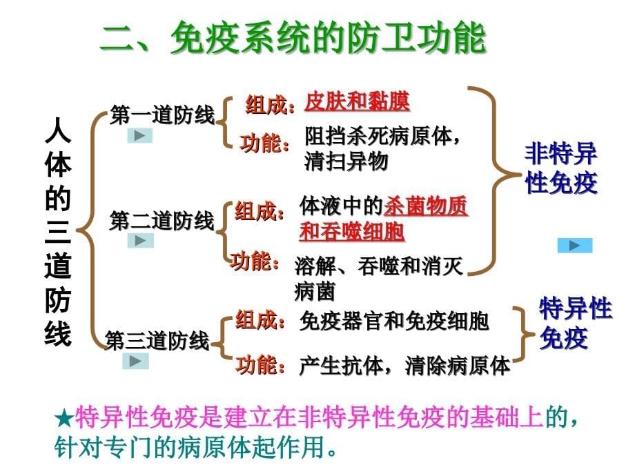 必修③2.4免疫调节ppt课件_第5页