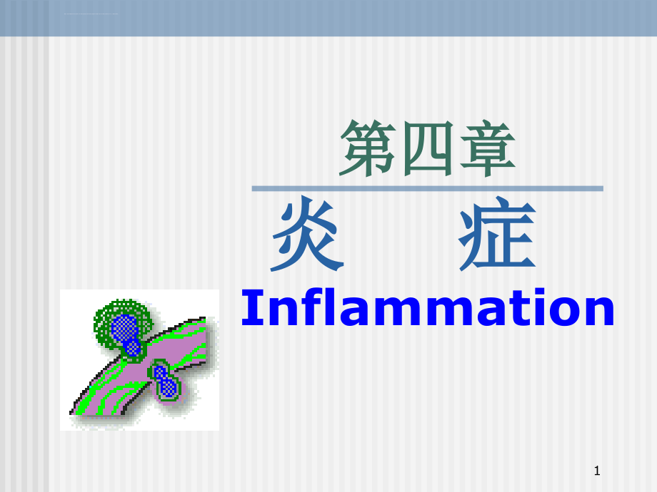 病理学第四章炎症1ppt课件_第1页