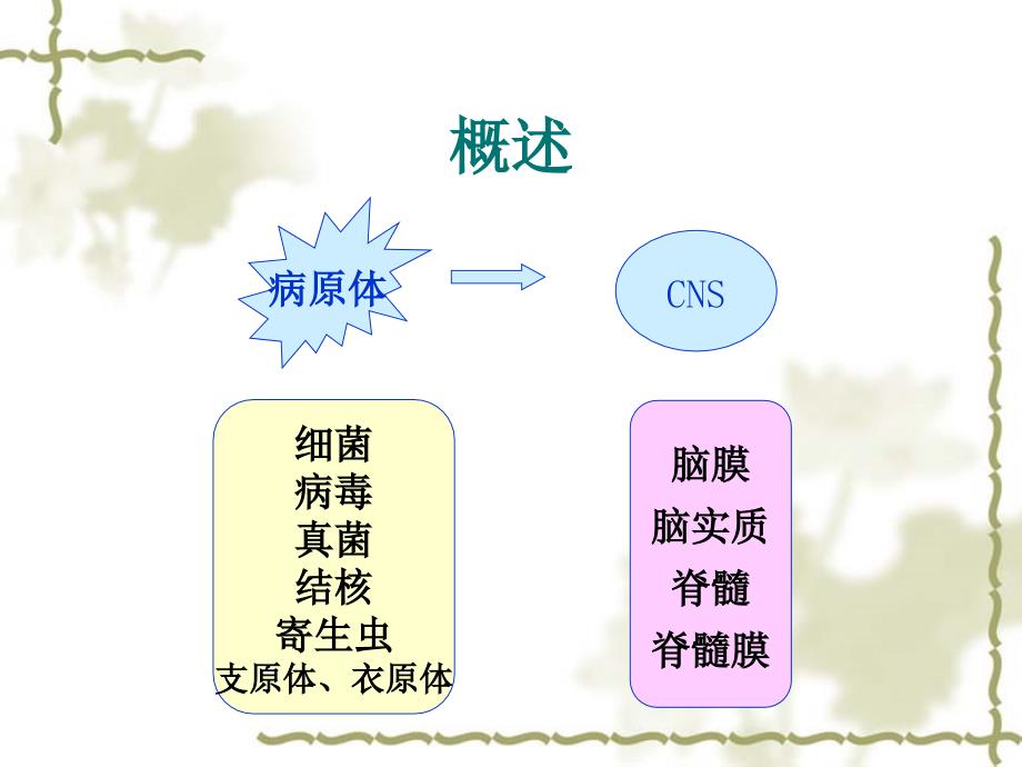 中枢神经系统感染.进修ppt课件_第4页