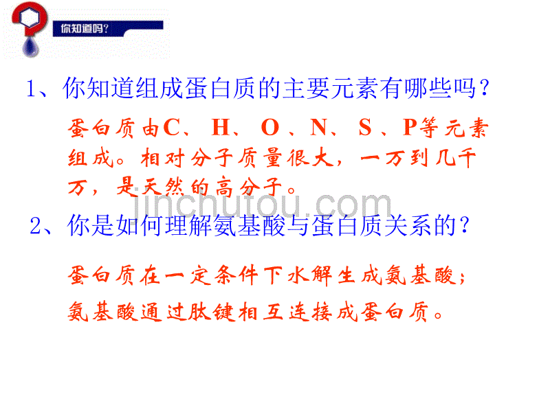 高中生物选修五氨基酸蛋白质_第1页