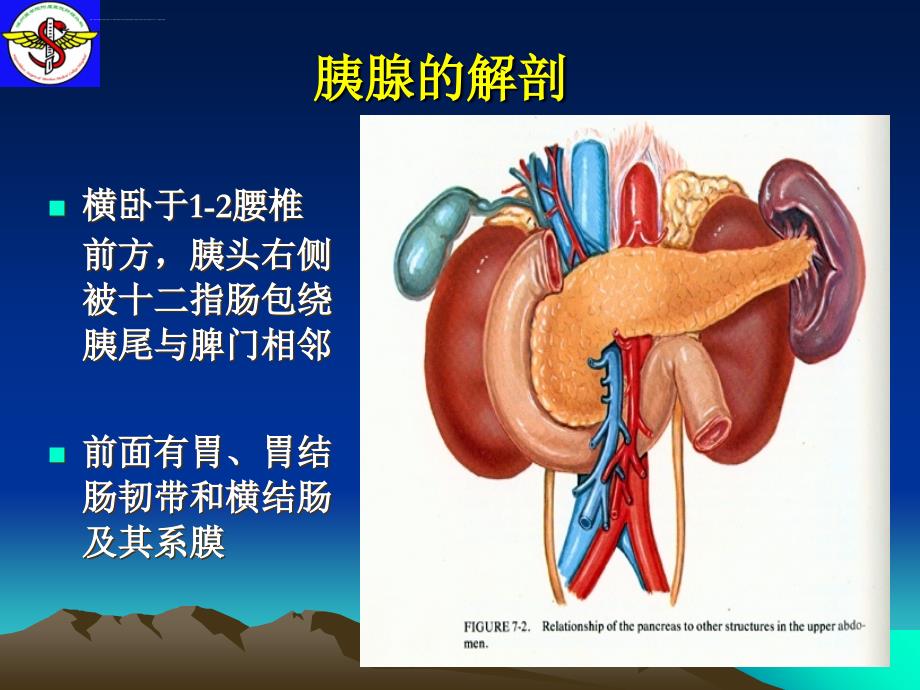 胰腺疾病ppt课件_第2页