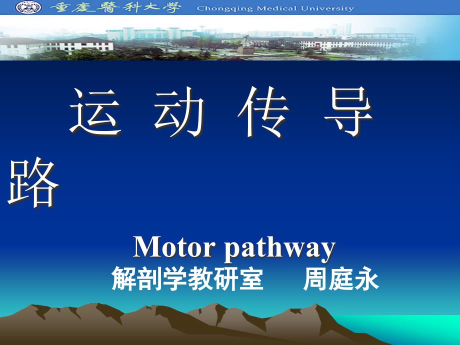 运动传导路75087_第1页