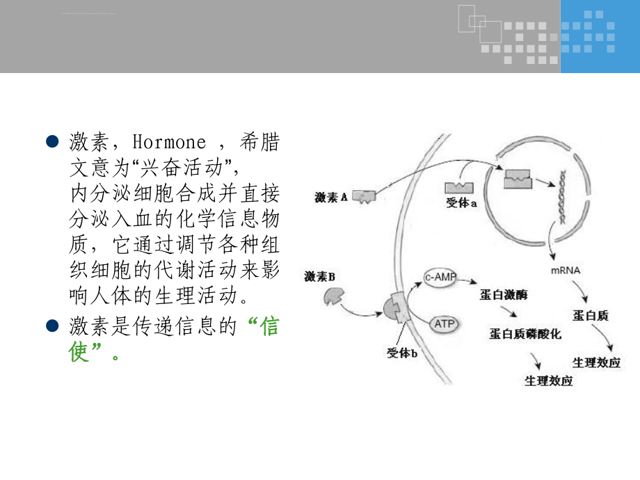 善用激素造福群众彭浩ppt课件_第3页