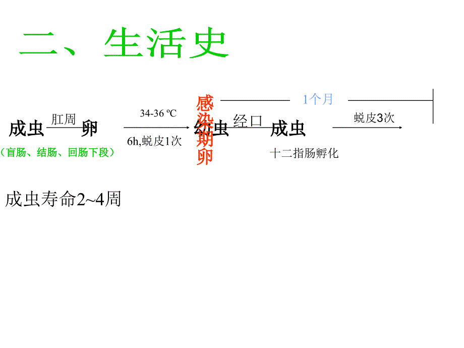 蛲鞭钩ppt课件_第4页