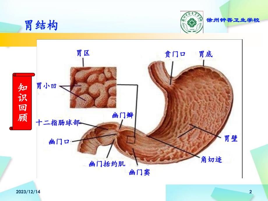 急性胃炎公开课修改版ppt课件_第2页