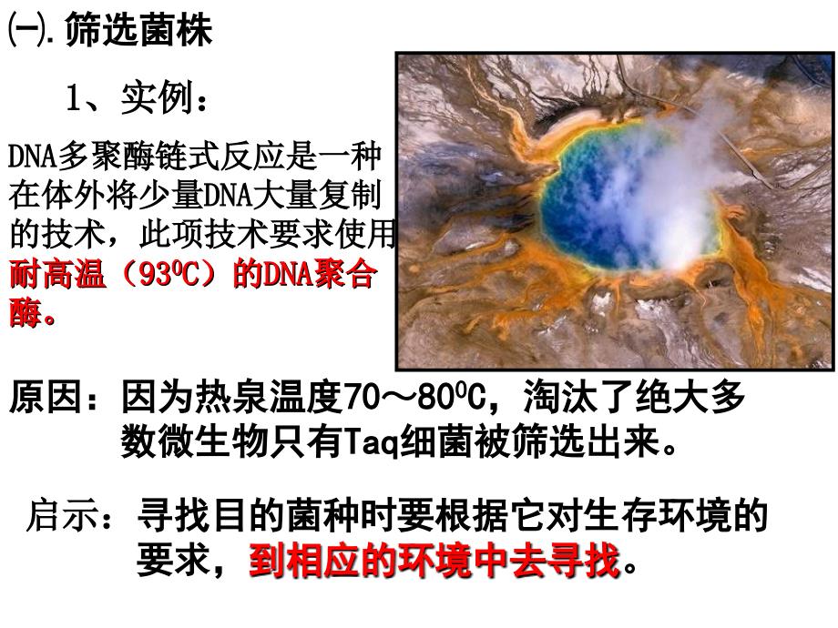 土壤中分解尿素的细菌的分离与计数ppt课件_第4页