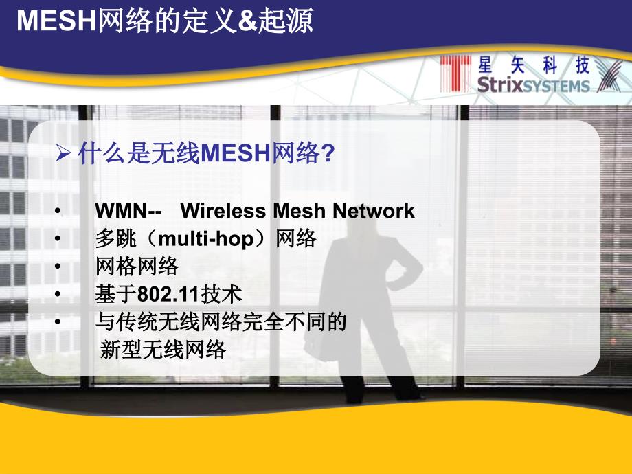 无线mesh城域网络的建设与运营ppt培训课件_第2页
