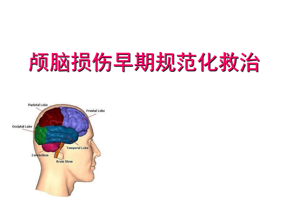 颅脑损伤规范化治疗ppt课件_第1页