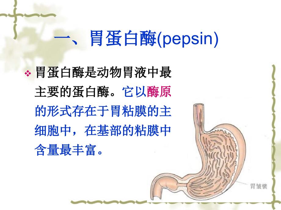 胃粘膜加工与胃粘膜制剂ppt课件_第2页