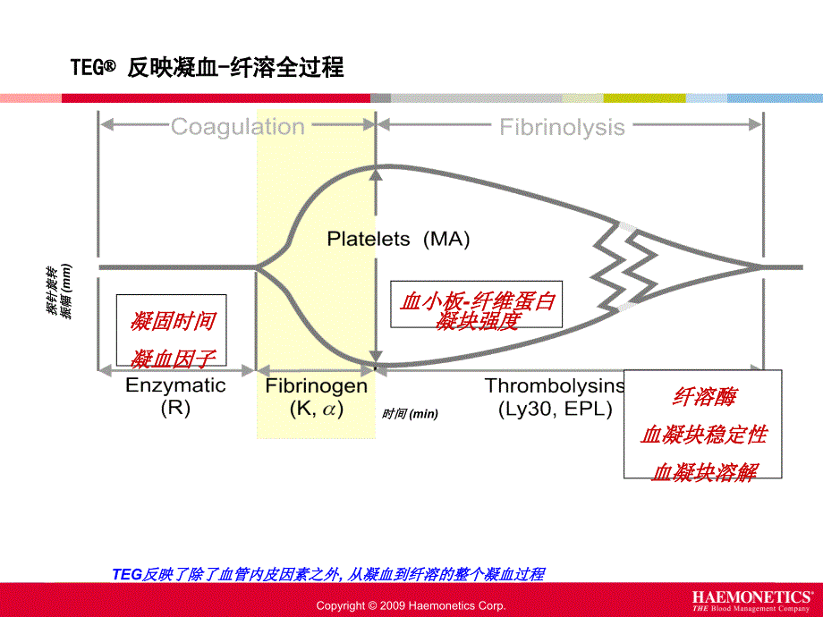 teg血栓弹力图在骨科围术期的应用ppt课件_第3页