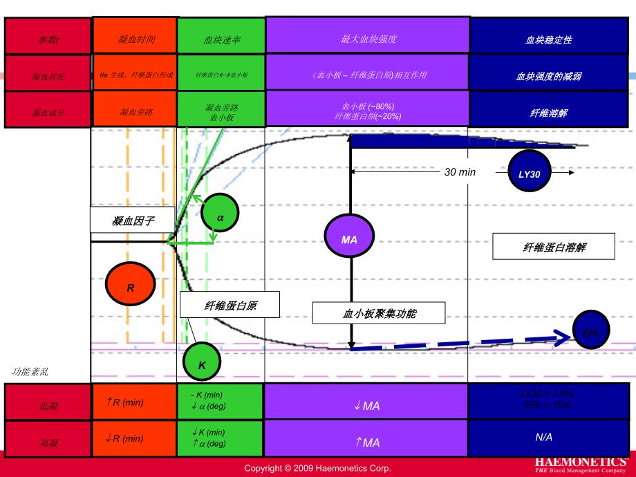 teg血栓弹力图在骨科围术期的应用ppt课件_第4页