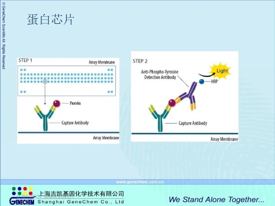 肿瘤基因研究解决方案讲座_第5页