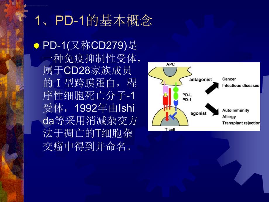 pd-1和pdl-1的研究进展修改ppt课件_第4页