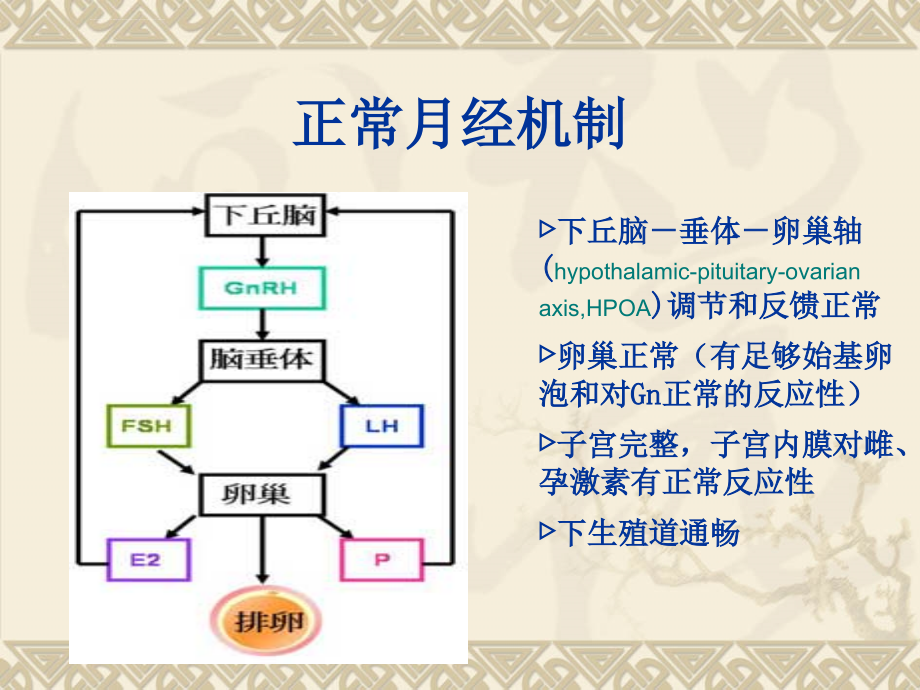 生殖内分泌疾病ppt课件_第3页