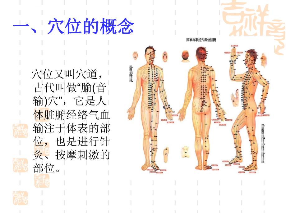 保健按摩二穴位知识ppt课件_第2页