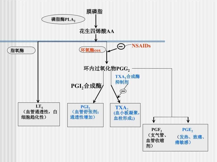 药物化学解热镇痛药和非甾体抗炎药ppt课件_第5页