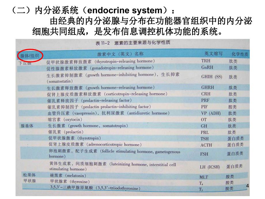 生理学内分泌zcppt课件_第4页