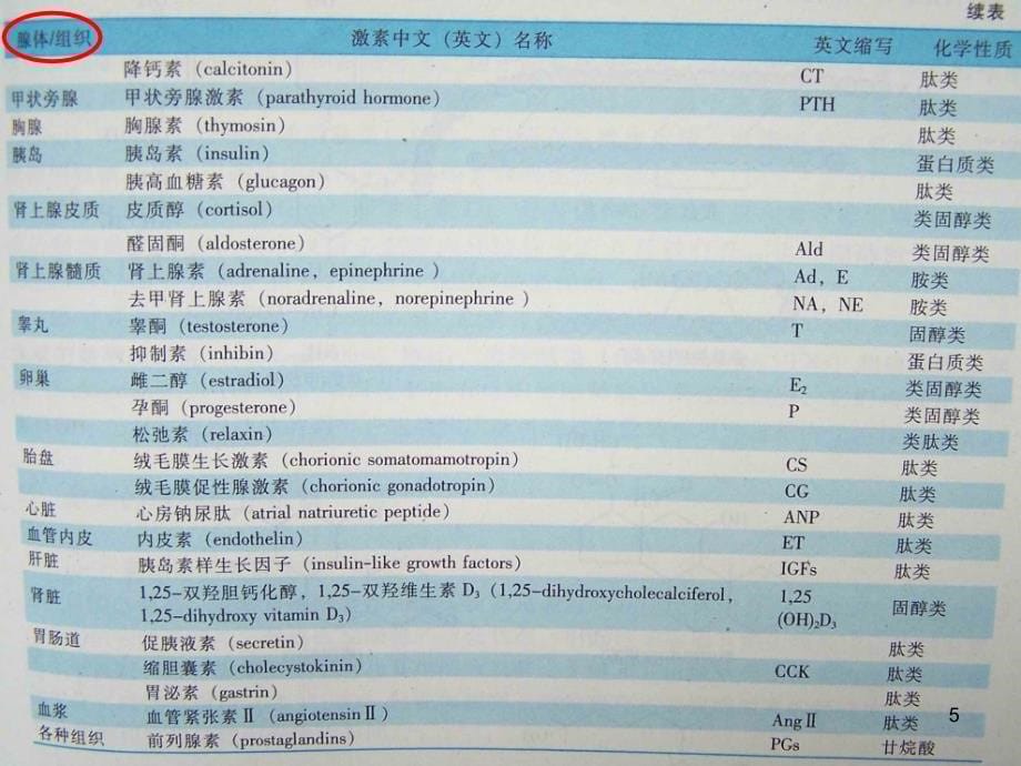 生理学内分泌zcppt课件_第5页