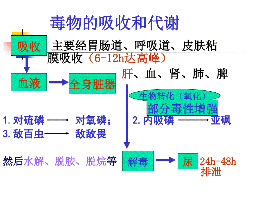 有机磷中毒ppt课件_第4页