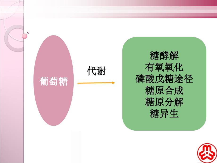 细胞的代谢1ppt课件_第3页