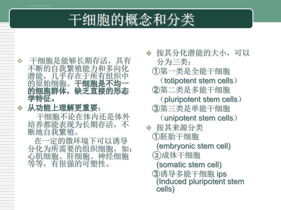 干细胞的临床应用ppt课件_第4页