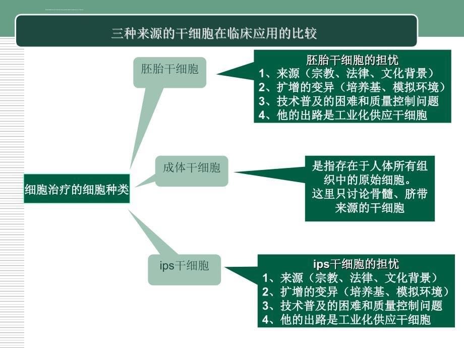 干细胞的临床应用ppt课件_第5页