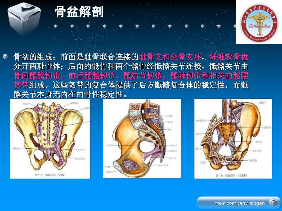 骨盆骨折的分型及治疗(1)ppt课件_第4页