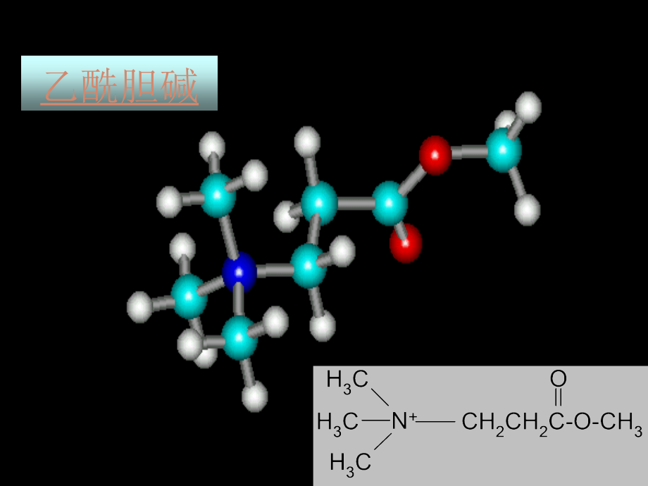 胆碱受体激动剂ppt课件_第3页