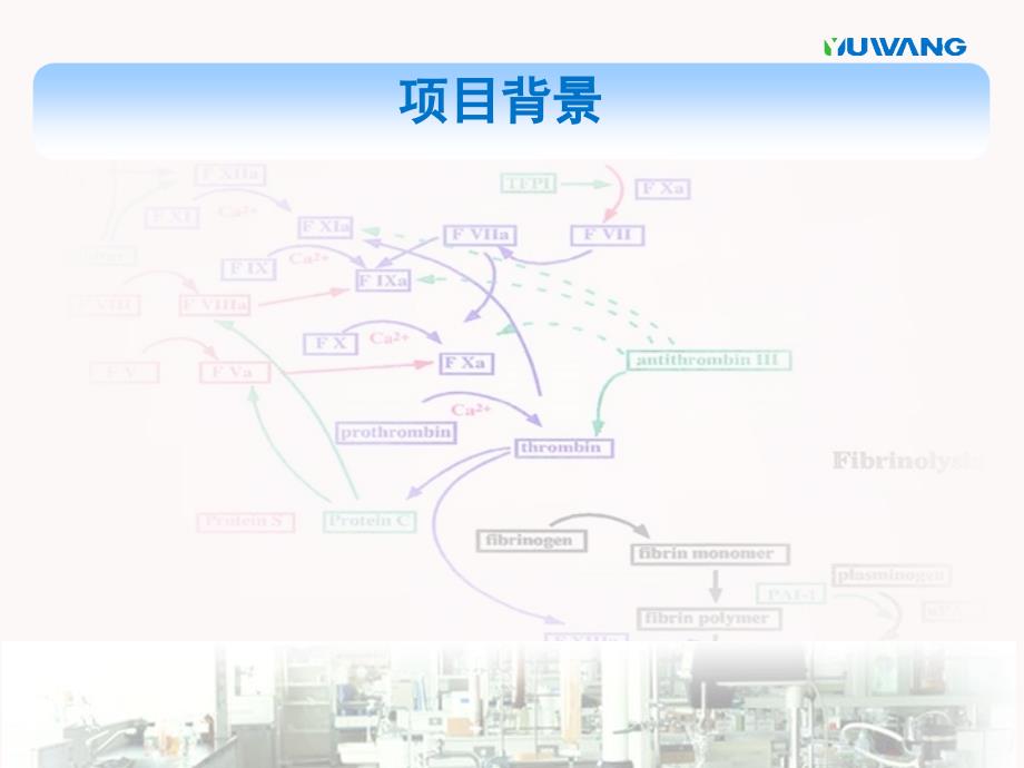 壳聚糖系列止血及创口护理产品明刚ppt课件_第3页