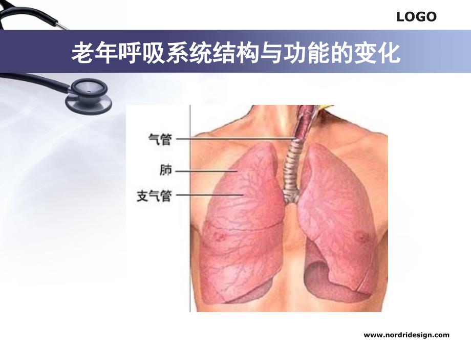 老呼吸系统ppt课件_第3页