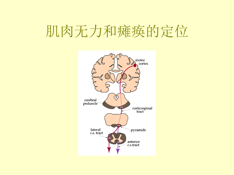 定位诊断(进修)_第4页