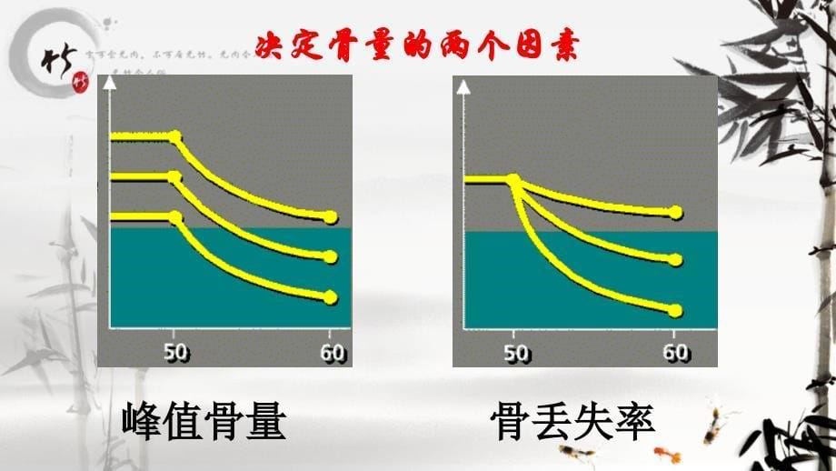 骨质疏松ppt课件_第5页