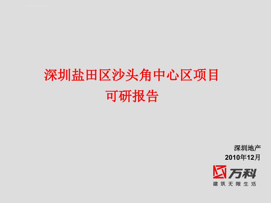 2014年12月世x深圳盐田区沙头角中心区项目可研报告40p_第1页