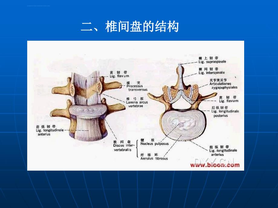 脊柱骨科护理进展ppt课件_第4页