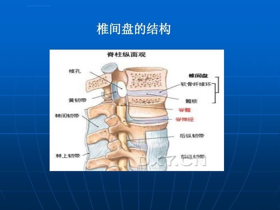 脊柱骨科护理进展ppt课件_第5页