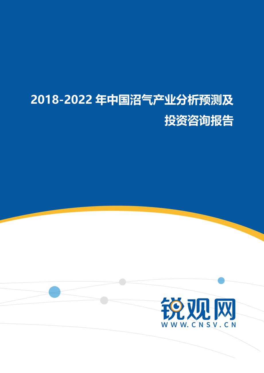 2017-2022年中国沼气产业分析预测及投资咨询报告_第1页