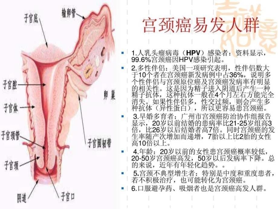 关注女性健康开展两癌筛查ppt培训课件_第5页