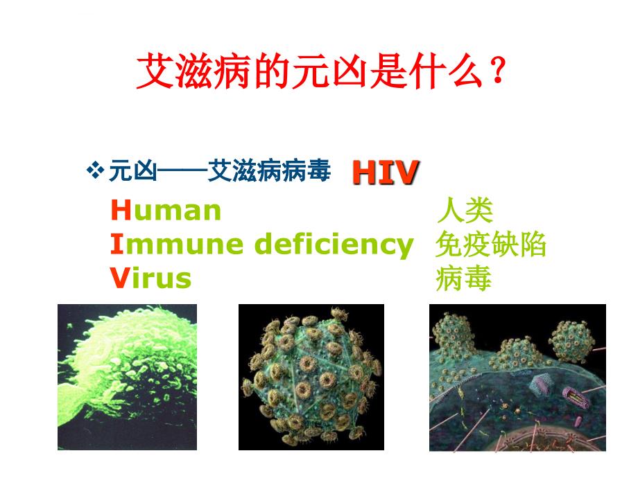 艾滋病宣讲ppt课件_第3页