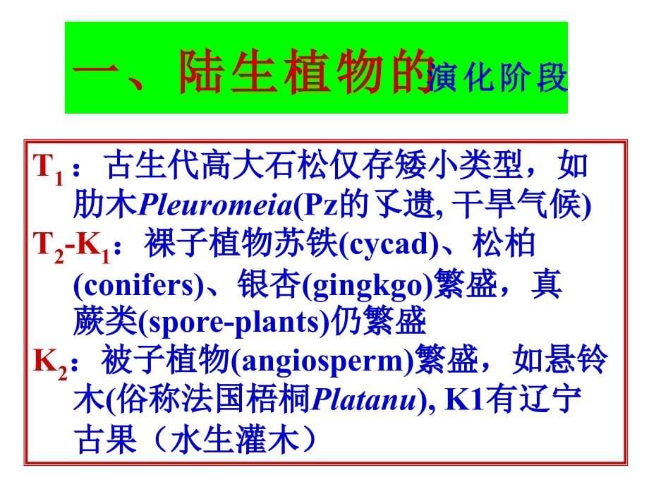 中生代地史讲义_第5页