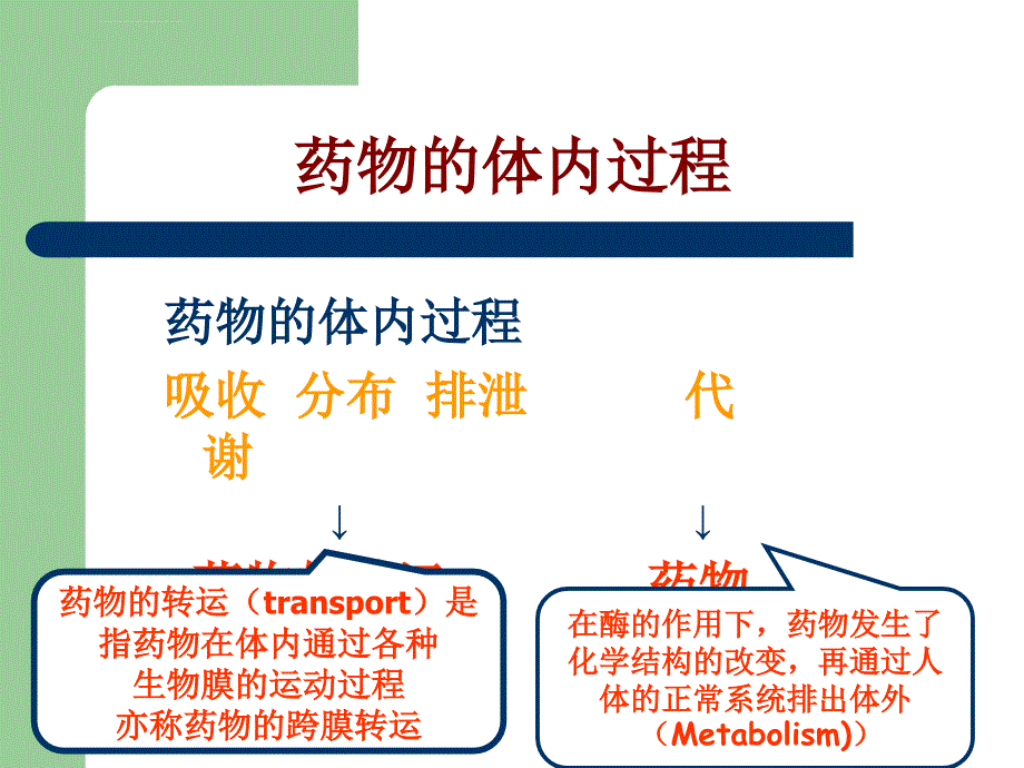 药动学ppt课件_第3页