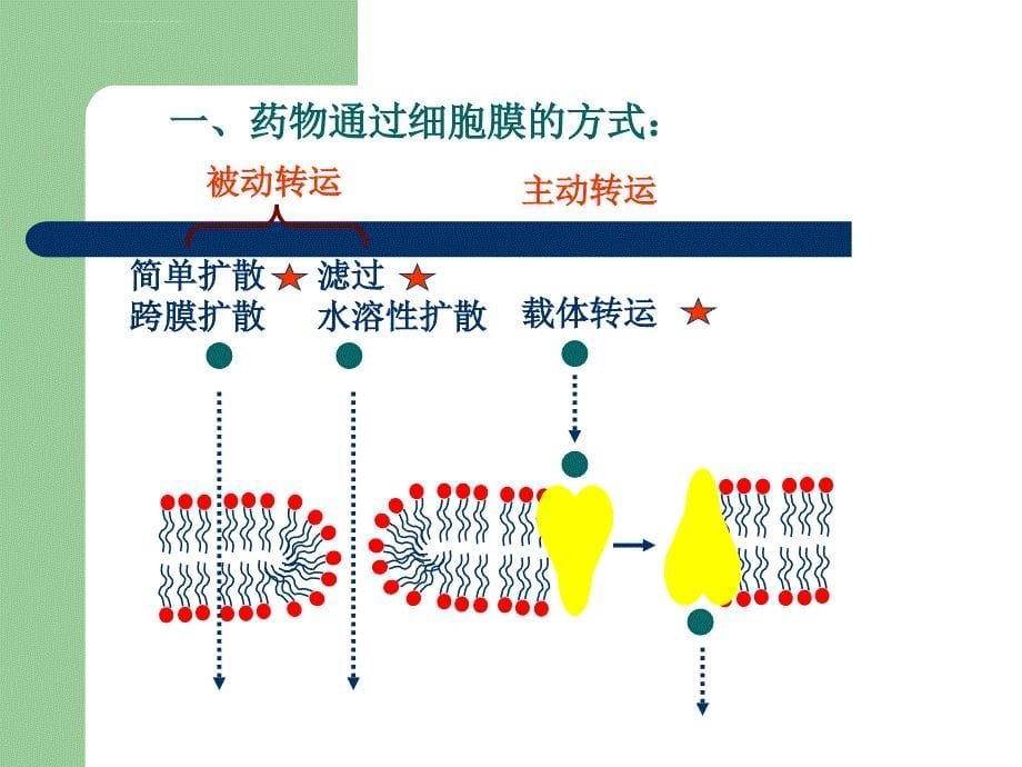 药动学ppt课件_第5页