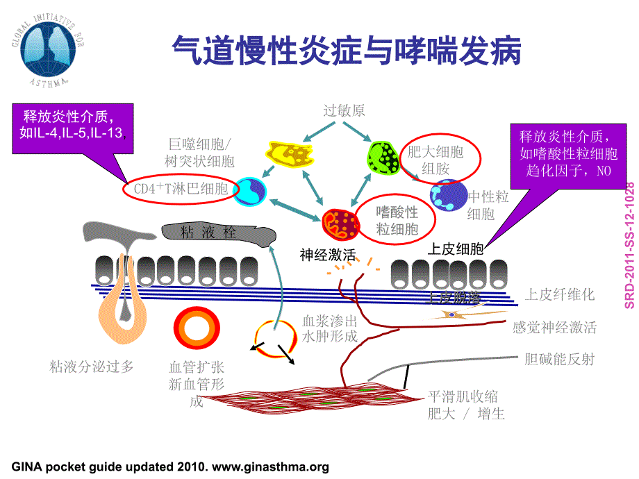 2014支气管哮喘指南解读_第3页