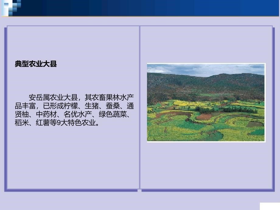 安岳县未来五年城市发展分析报告1_第5页